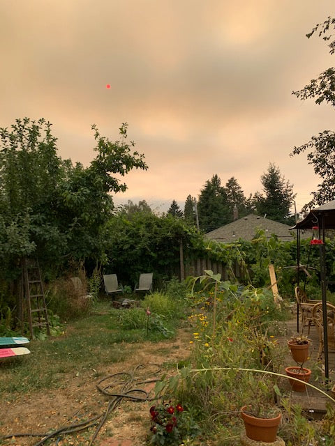 Homefront's Latest; Fire Edition