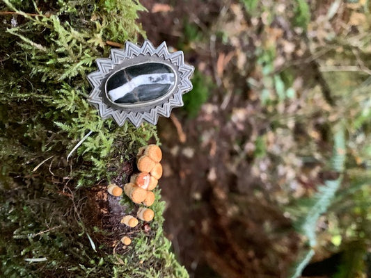 Photographing in Nature